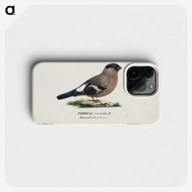 1-53_Magnus-von-Wright_phone