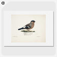 1-53_Magnus-von-Wright_picture
