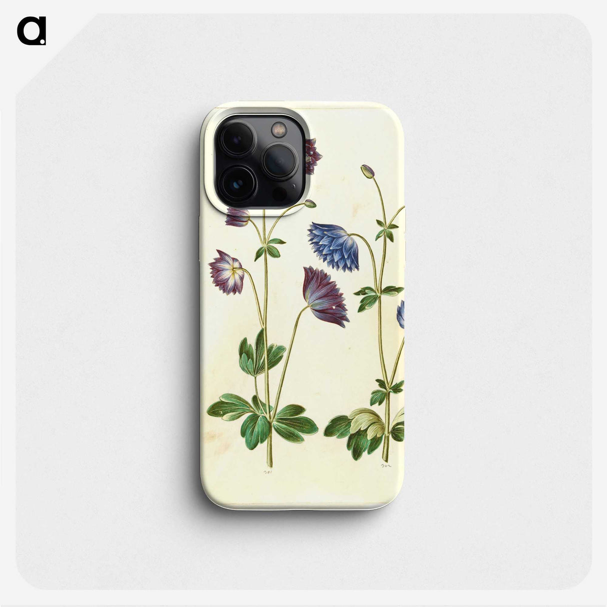 1-53_Maria-Sibylla-Merian_phone