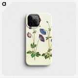 1-53_Maria-Sibylla-Merian_phone