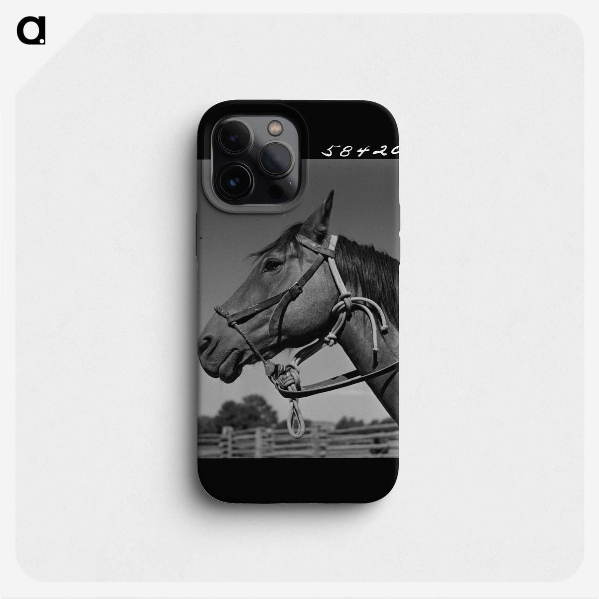 1-53_Marion-Post-Wolcott_phone