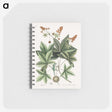 1-53_Mark-Catesby_memo