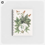 1-53_Mark-Catesby_memo