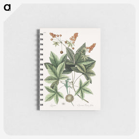 1-53_Mark-Catesby_memo