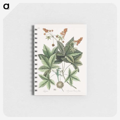 1-53_Mark-Catesby_memo