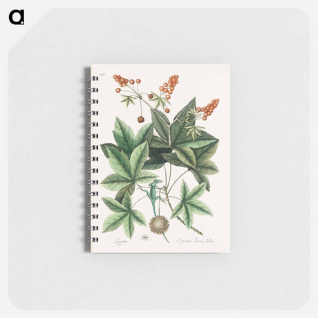 アートメモ帳-Green Lizard
 - マーク ケイツビー Memo.