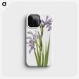 1-53_Mary-Vaux-Walcott_phone