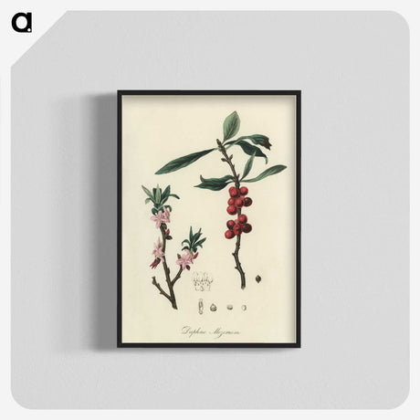 1-53_Medical-Botany_blk-crop