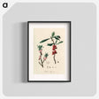 アートポスター-February Daphne
 - 薬用植物学 Poster.