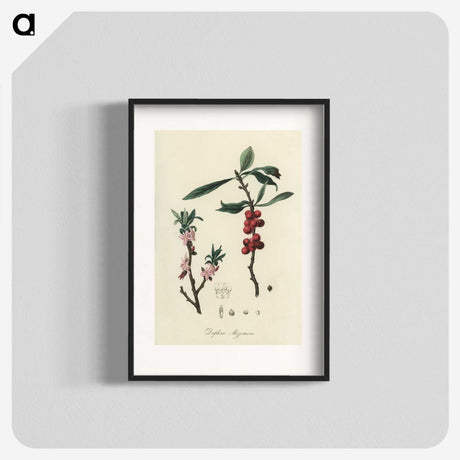 1-53_Medical-Botany_blk