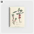 アートメモ帳-February Daphne
 - 薬用植物学 Memo.