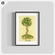 アートポスター-Arbor vellignum vite paradisi
 - 国立医学図書館 Poster.