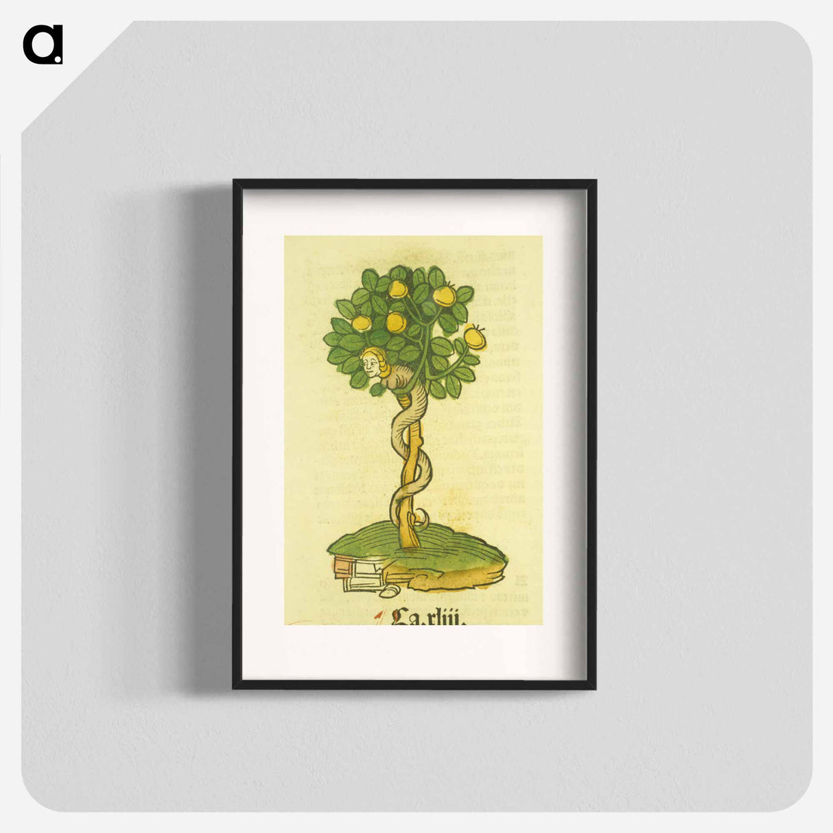 アートポスター-Arbor vellignum vite paradisi
 - 国立医学図書館 Poster.