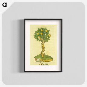 アートポスター-Arbor vellignum vite paradisi
 - 国立医学図書館 Poster.