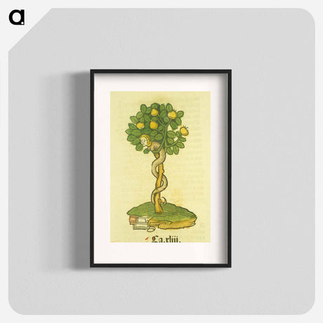アートポスター-Arbor vellignum vite paradisi
 - 国立医学図書館 Poster.