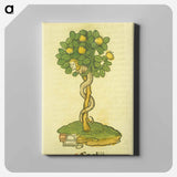 アートパネル-Arbor vellignum vite paradisi
 - 国立医学図書館 Canvas.