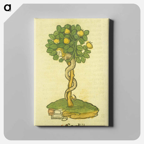 アートパネル-Arbor vellignum vite paradisi
 - 国立医学図書館 Canvas.