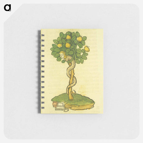 アートメモ帳-Arbor vellignum vite paradisi
 - 国立医学図書館 Memo.