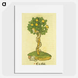 アートポスター-Arbor vellignum vite paradisi
 - 国立医学図書館 Poster.