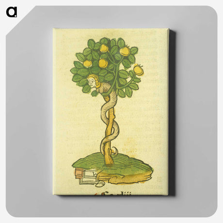 1-53_National-Library-of-Medicine_canvas