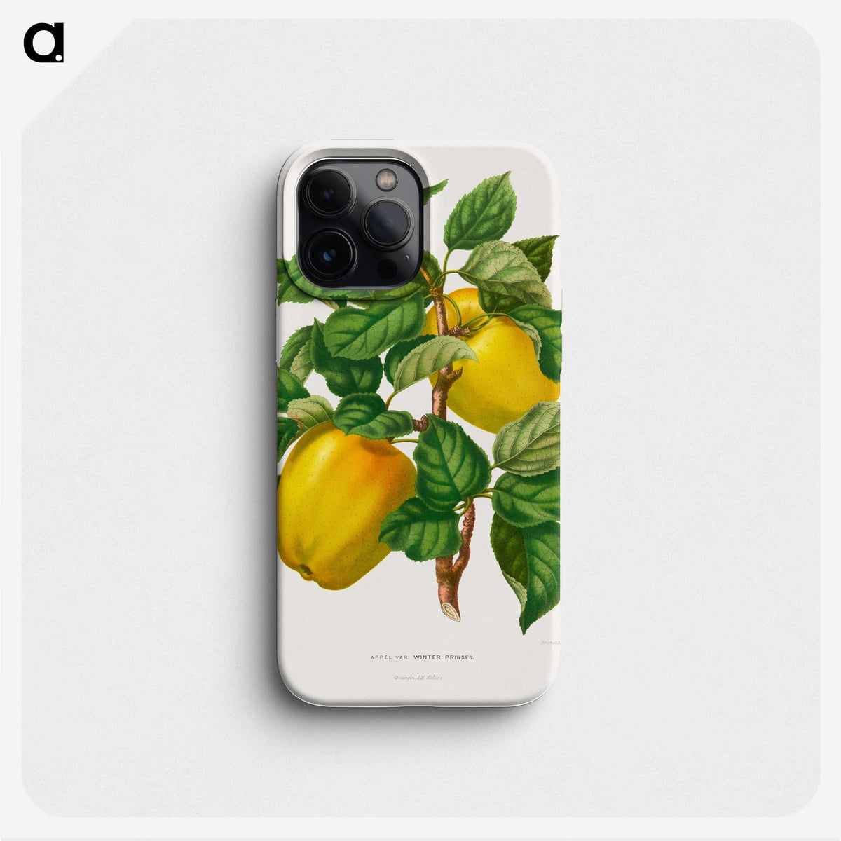 1-53_Nederlandsche-Flora-en-Pomona_phone