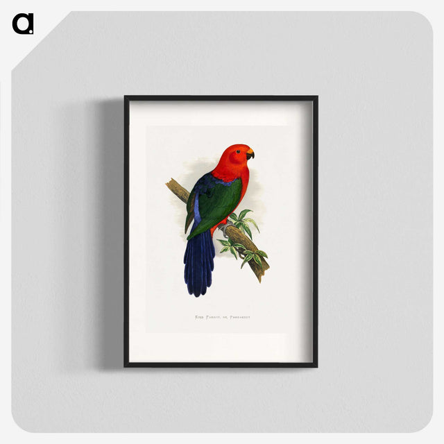 1-53_Parrots-in-Captivity_blk