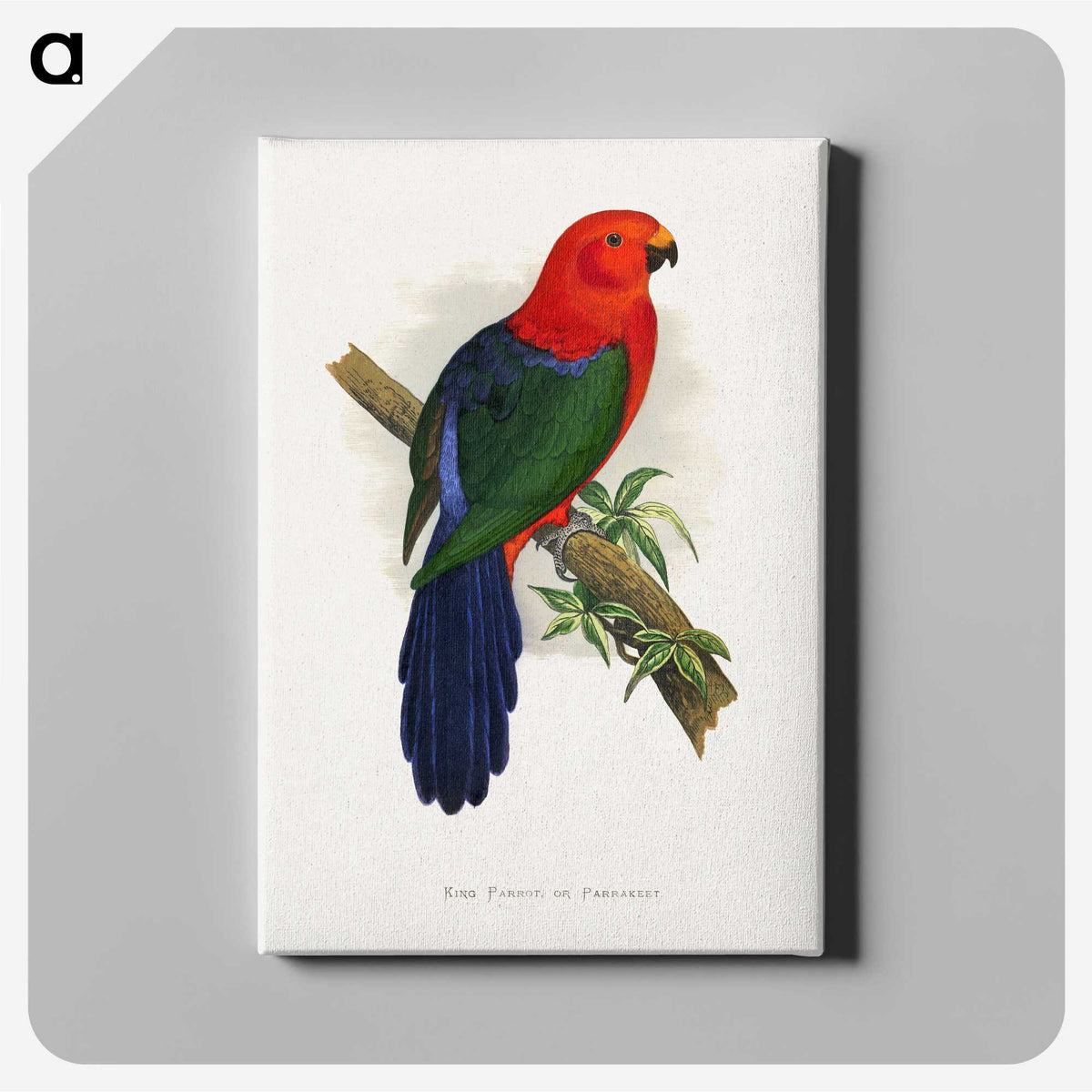 1-53_Parrots-in-Captivity_canvas
