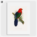 1-53_Parrots-in-Captivity_picture