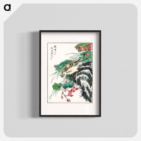 アートポスター-Japanese Hawfinch and Pirus Spectabilis
 - 鳥類図鑑 Poster.