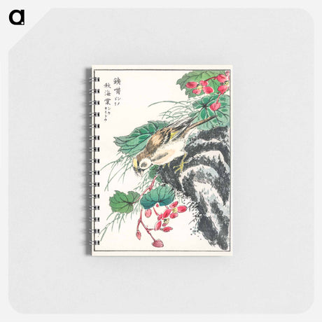 アートメモ帳-Japanese Hawfinch and Pirus Spectabilis
 - 鳥類図鑑 Memo.