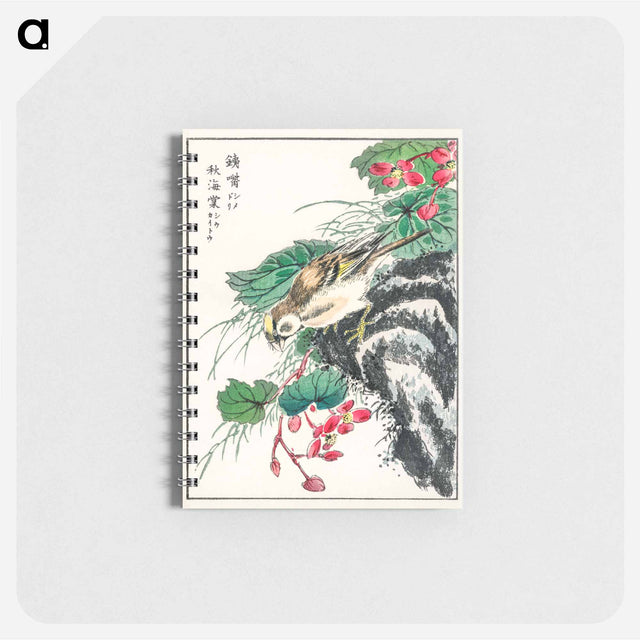 アートメモ帳-Japanese Hawfinch and Pirus Spectabilis
 - 鳥類図鑑 Memo.
