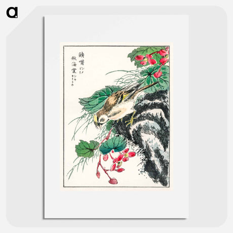アートポスター-Japanese Hawfinch and Pirus Spectabilis
 - 鳥類図鑑 Poster.