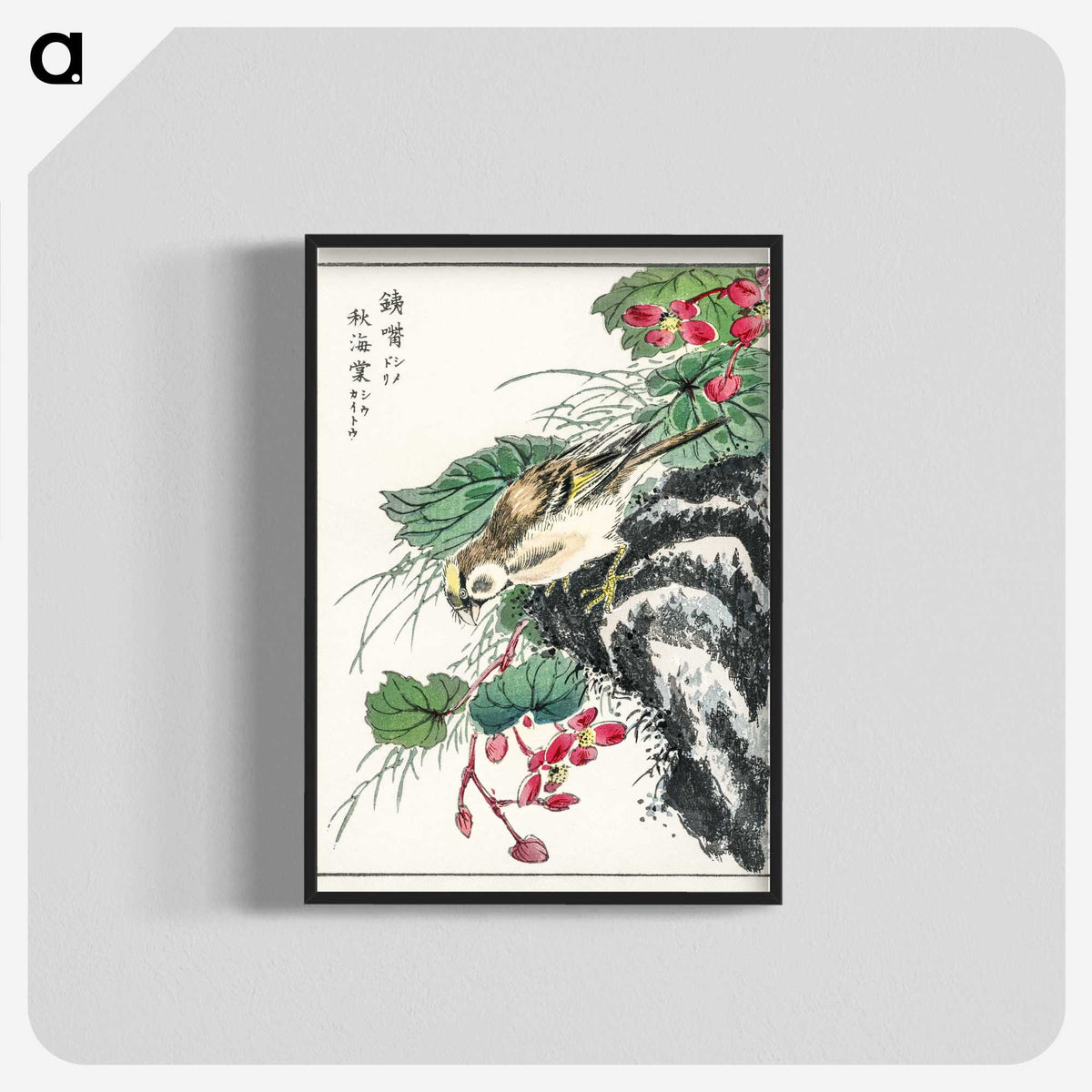 1-53_Pictorial-Monograph-of-Birds_blk-crop