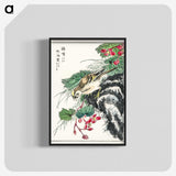 1-53_Pictorial-Monograph-of-Birds_blk-crop