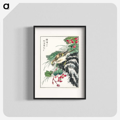 1-53_Pictorial-Monograph-of-Birds_blk