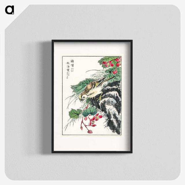 1-53_Pictorial-Monograph-of-Birds_blk