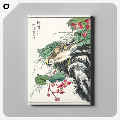 1-53_Pictorial-Monograph-of-Birds_canvas