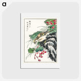 1-53_Pictorial-Monograph-of-Birds_hagaki