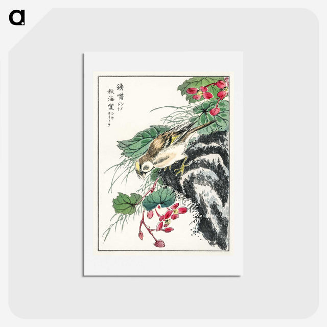 1-53_Pictorial-Monograph-of-Birds_hagaki