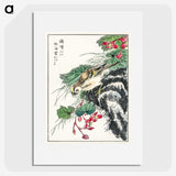 1-53_Pictorial-Monograph-of-Birds_picture