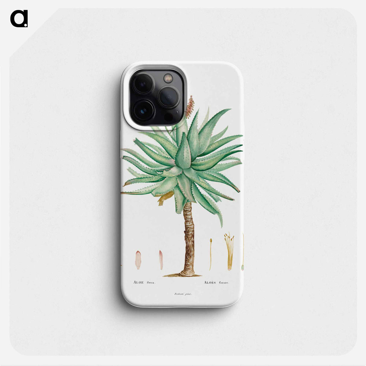 Aloe Ferox Image - ピエール ジョゼフ ルドゥーテ Phone Case.