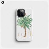 Aloe Ferox Image - ピエール ジョゼフ ルドゥーテ Phone Case.