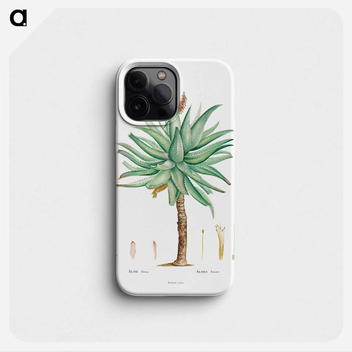 Aloe Ferox Image - Pierre Joseph Redouté Phone Case.