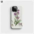 1-53_Robert-Jacob-Gordon_phone
