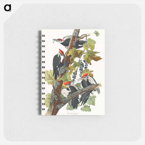 アートメモ帳-Pileated Woodpecker from Birds of America
 - アメリカの鳥たち Memo.