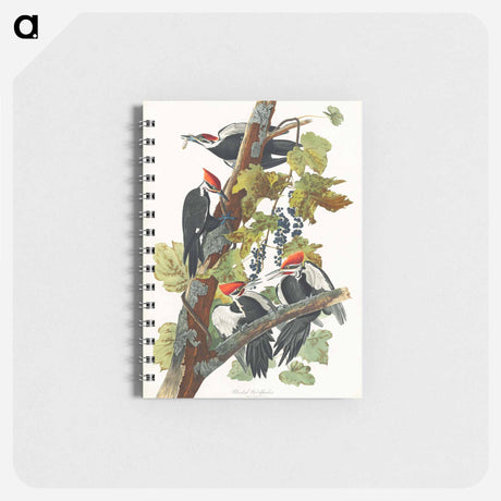 アートメモ帳-Pileated Woodpecker from Birds of America
 - アメリカの鳥たち Memo.