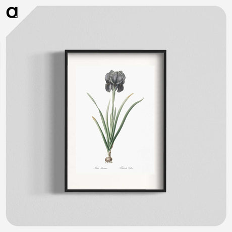 1-53_The-Lilies_blk