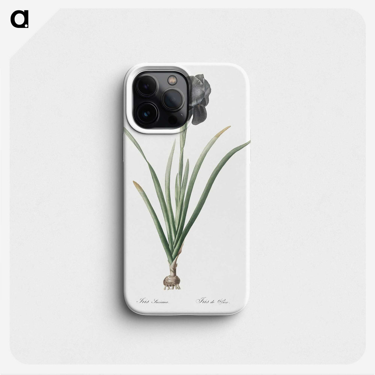 1-53_The-Lilies_phone