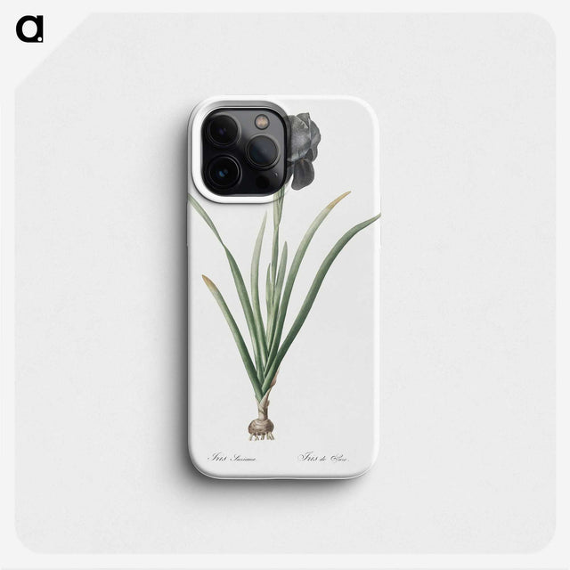 1-53_The-Lilies_phone