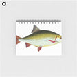 1-53_The-Natural-History-of-British-Fishes_memo